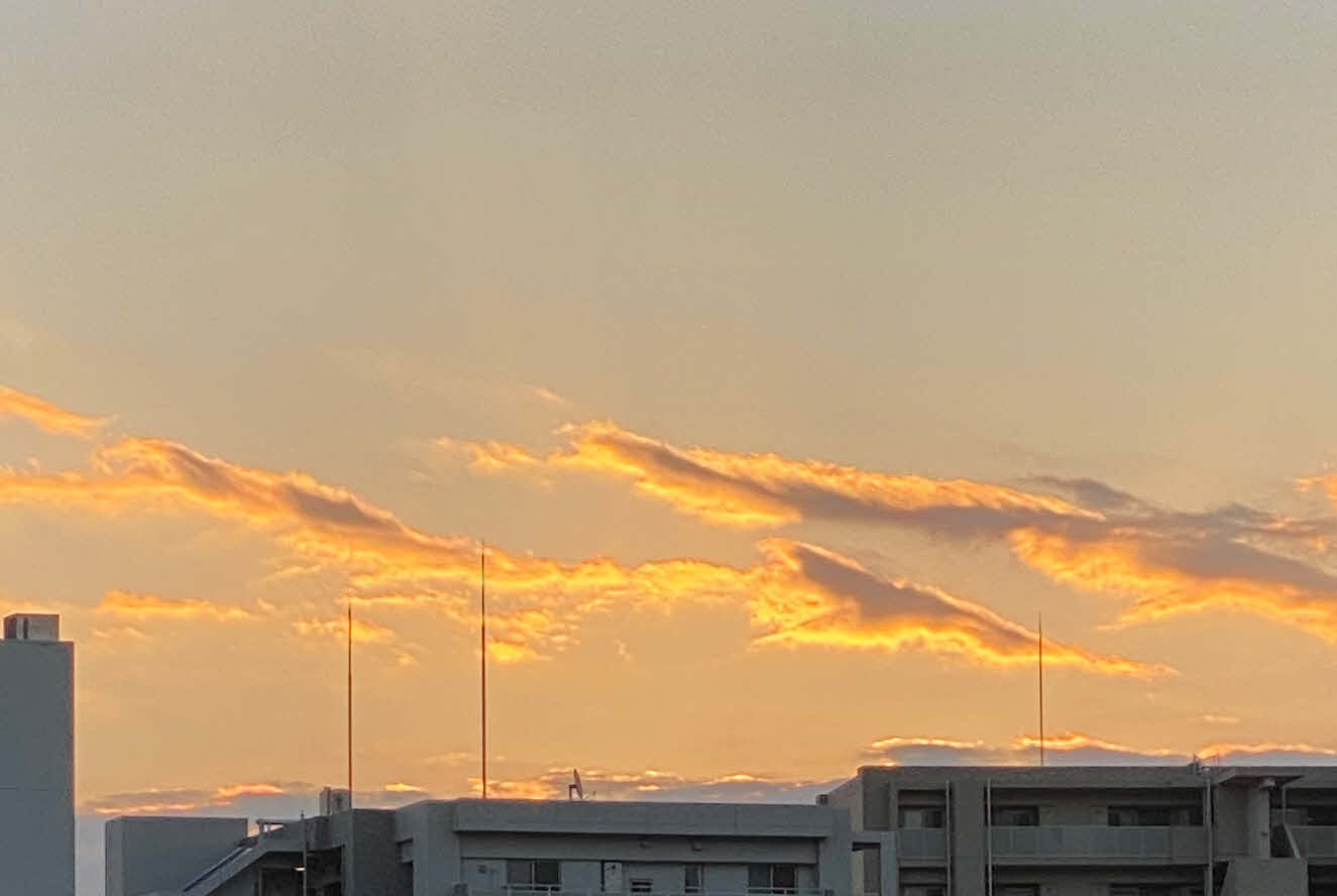 ０５．１．１  ０７１５ 　大晦日夜勤で、川西市で元旦の初日の出をと思うも、０７０６の時刻に雲と建物に遮られ、その後の兆候しか見えなかった！