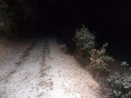 ０５．１．３１  ０５０６ 　山道は、全部白くなっている！