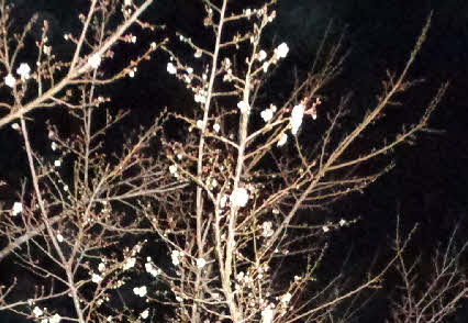 ０５．２．１８  ０４５８ 　そのアップ！