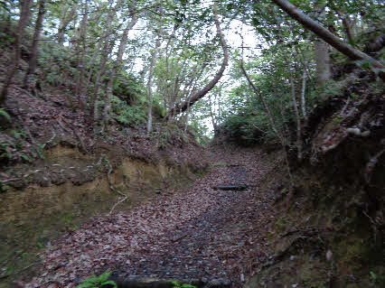 ０５．４．１８　０５２４　峠を越えて、ジャリ池側から見た峠！
