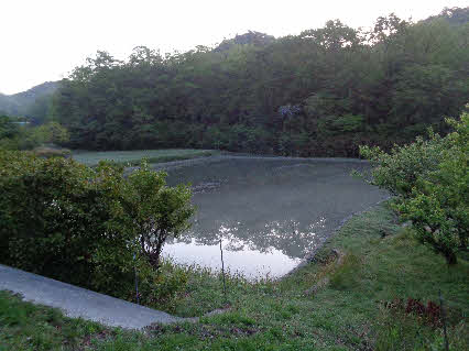 ０５．５．１　０４５１　銀山の奥の池までの途中で、水田に水が張られ反対側の山影が映っている！