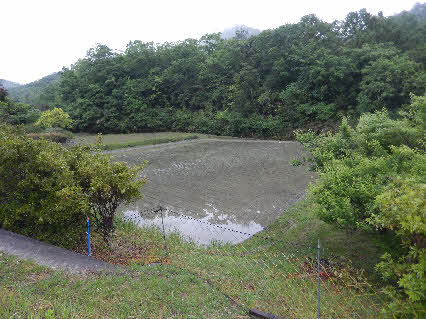 ０５．５．１９　０５１３　銀山の水田も、田植えがされていた！