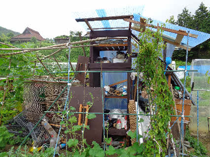 ０５．７．８　１５２６　畑の小屋で、蓋を開けたところ！