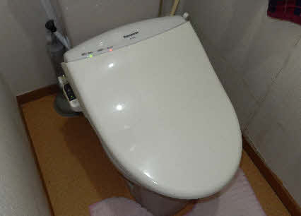 ０５．９．９　１８４８　１階のトイレの便座の塗装が剥がれた所があり、娘が新しい便座を送ってくらたので交換すべく、旧便座を撮る！