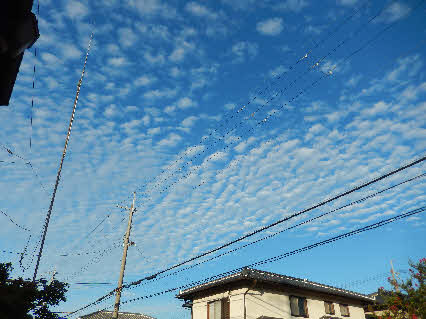 ０５．９．１３　０６３８　南西の空も、鱗雲に覆われていた！