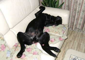 QOOWDPODQS@QRROA\t@̏ŌȖhQpIŃCrLĂ犮H܂ĂȂI