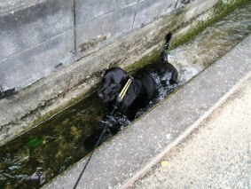 QOOUDXDPW@̎Uŏ̂raɍ荞񂾁I